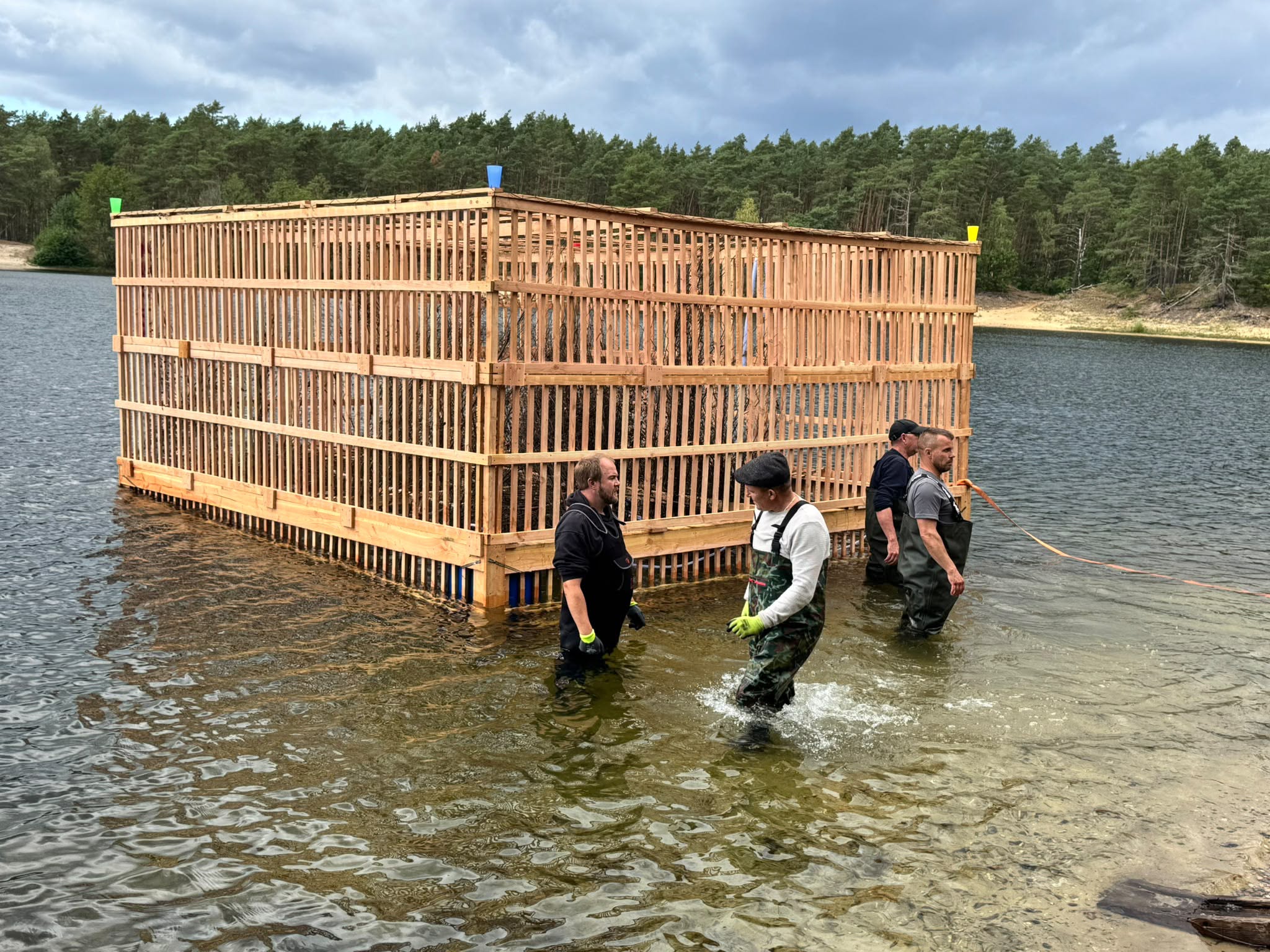 Zwei neue Petri-Schutzsysteme für den Fischbestand – ASV Winsen (Aller) setzt erfolgreich Schutzsysteme im Vereinsgewässer ein